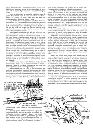 lançada diretamente sobre a cobertura vegetal morta do solo. Isso já
foi feito com sucesso em dezenas de lugares com áreas de verões
secos onde eu projetei. Água do chuveiro é usada diretamente pelas
plantas.
Águas servidas podem ser recicladas através de estufas de
plantas. Elas liberarão calor ali. Uma coisa sensata a se fazer é
instalar seu chuveiro na estufa. Você pode usar essa água
relativamente limpa diretamente na horta e pomar.
Eu já descrevi para vocês aquele meio-cano aberto de um lado,
projetado para levar a água dos banheiros diretamente para as árvores,
e que não se entupirá pelas raízes. Acho que este é realmente um
modo sanitário e seguro de se livrar das águas servidas. Eu não acho
que haja nada errado com privadas com descarga, mas acho que há
algo horrivelmente errado com Los Angeles – um excesso louco de
tudo, incluindo privadas e descargas.
Esses drenos de cerâmica são úteis onde você puder obter água
doméstica suficiente de uma captação acima do banheiro, se você
puder plantar árvores ao longo da drenagem da água servida. Eu acho
que é um sistema extraordinariamente seguro, que já vem sendo
testado há um bom tempo. Agora também pode-se fazer de materiais
plásticos. Que tamanho? Se você usa um monte de água, faça um
dreno grande. Ele cai no dreno normal. A cada um metro mais ou
menos, uma peça de duas polegadas junta os fundos dos segmentos.
Estes agem como pequenas represas que diminuem a velocidade da
água, formando pequenas poças continuamente. Este meio cano é
posicionado de com a abertura para baixo numa trincheira de terra.
Ele fica enterrado, mas é aberto na parte de baixo. Não há pedras por
cima nem por baixo, e pode ser posto sobre argila. Então, você planta
suas árvores ao lado desse dreno, mesmo árvores invasivas, e elas
crescerão. O homem que fez isso originalmente fez de canos cortados
longitudinalmente e modelou essas pequenas poças. Faça isso abaixo
da linha de geada. A água fica contida ao longo do sistema, até que
seja absorvida.
Funciona. Canos redondos não funcionam porque eles são
invadidos pelas raízes. Eles se enchem de raízes de álamos e
eucaliptos. Campos de percolação funcionam por um tempo, mas
esses dispositivos parecem funcionar para sempre.
Quanto mais você joga com a água, ou anda em paisagens onde
você pode jogar com água, mais você vê como pode fazer coisas
fascinantes. Eu acredito que se nós realmente estudássemos o que os
castores fazem, já descobriríamos alguns truques muito espertos, só
nas planícies. Eles não constróem apenas uma represa, constróem
várias, por todas as razões diferentes, e eles constróem pequenos
canais e brejos, e fazem controle da água – bem espertos os
amiguinhos!
Isto é algo que nós já fizemos em planícies alagadas. Se
você tiver uma fileira de árvores ao longo de um rio, coisa que
você muitas vezes tem – salgueiros e álamos – você notará
que raramente há mais de três ou quatro árvores que estão
meio tombadas, até que a próxima árvore esteja retinha. Eu
não vi muitas planícies alagadas que derrubassem mais que
quatro árvores em seguida. E elas continuam crescendo. A
quinta árvore normalmente tem a altura total da árvore ereta.
Cassuarinas, salgueiros e álamos, todas agüentam enchentes.
Você pode plantar de duas formas. Em ambos os casos, você
começa em ângulos retos ao banco e diminui gradualmente em
direção ao rio. Assim, você cria uma lagoa, por uma vala de
escoamento no rio, o que é uma coisa muito prática, provendo uma
área de águas rasas para os peixes. Se você puder escolher um local
que não seja rochoso, você pode criar uma lagoa permanente. Você
pode trazer detritos, coletar lenha, também coletar uma quantidade
substancial de cobertura para o seu solo. Você pode ter um local que
não coleta nada, mas produz algum lodo. Portanto, enchentes podem
te render um monte de madeira, cobertura morta para o solo, e
material lodoso.
Esse material lodoso é bom para plantas como os aspargos. Os
aspargos gostam de uma dose anual de lodo. Na Austrália, os
aspargos são um mato de canais – crescem em canais de irrigação.
Eles atingem 1,20 metros de profundidade com suas raízes.
Na Austrália, álamos crescem até 30 metros de altura. Corte um
na base, cave um buraco de 2,4 metros e enfie o tronco reto em
posição. Uma cerca viva de 30 metros. Funciona. Você deixa os seus
salgueiros atingirem uns 10 metros de altura, corta e os enfia num
buraco. Desde que você os tenha ancorados, eles crescerão. Há
viveiros que os vendem para você com 20 a 25 metros. Os
canadenses transplantam álamos de pelo menos 17 metros, não?
Nada de raízes, simplesmente os serre fora. Então, você terá mais um
crescendo da raíz. É por isso que você tem aquele viveiro. Você pode
pegar um álamo de 30 metros e fazer dois álamos de 15 metros. Você
poderia pegar um álamo de 30 metros e fazer três álamos de 10
metros.
Agora, uma palavra sobre represas muito grandes como a
Aswan ou qualquer uma dessas. Elas têm na maior parte um efeito
negativo. Todos os estudos mostram que elas reduzem a fertilidade
do rio abaixo de si por sequestrarem os materiais lodosos. Elas
muitas vezes aumentam a ocorrência de doenças, e particularmente
em terras tropicais, porque o terreno não é lavado pelas enchentes.
Elas sempre modificam as populações de peixes abaixo. Na Austrália,
por exemplo, essas represas aniquilaram completamente algumas
espécies de peixes por milhas abaixo, por causa da água fria liberada
da base das represas. Elas têm muito pouca utilidade biológica. Elas
geram sistemas de energia centralizados e, inevitavelmente,
indústrias poluentes na outra ponta da cadeia de uso. Em termos
gerais, elas são um desastre.
Então, nós somos principalmente a favor de represamentos
razoavelmente pequenos. Há sempre problemas em reprezar-se
cursos d’água. Você tem que prestar muita atenção a seus sistemas
de extravazamento, e essas represas podem extravazar. Mas elas têm
sua utilidade. Porém, represas grandes são a última coisa a se pensar.
 
