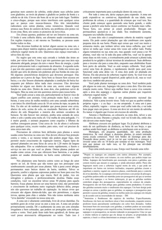 genuínas num canteiro de cebolas, então plante suas cebolas junto
com gladíolos, ao invés de plantar o gladíolo no jardim da frente e a
cebola no de trás. Cravos são bons de se ter por todo lugar. Também
o cinco-chagas, porque suas raízes interferem com qualquer coisa
que se pareça com moscas-brancas. Eles têm intercâmbios
radiculares com outras plantas, como tomateiros. Quando você
arranca suas flores do canteiro da horta, seu problema com pestes vai
lá em cima. Bem, nós somos os pioneiros da nova ética.
Em climas quentes, podemos até ter um limoeiro na zona um.
O limão é uma colheita diária, um alimento usado constantemente.
Em regiões tropicais, e até mesmo na Tasmânia, as pessoas usam
limões todos os dias.
Nós devemos lembrar de incluir algum acesso na zona um, e
espaço para dispor matéria orgânica, para compostagem ou uso como
cobertura vegetal morta do solo. Queremos esse espaço reservado, e
talvez fora da vista.
Eu sugiro que esta zona seja cercada e isolada das áreas ao
redor, por várias razões. Uma é que nós queremos que essa área seja
altamente abrigada, porque ela tem o maior fluxo de energia, e pode
prover praticamente todo o suprimento de alimento. A segunda razão
é que nós não queremos capim crescendo aqui. Então nós temos que
decidir que série de plantas nós podemos pôr nas bordas da zona um.
Há algumas características desejáveis que devemos perseguir. Elas
poderiam ser à prova de fogo. Seria bom se fossem bem escuras em
baixo, e se elas fossem altamente adaptadas a condições de baixa luz
enquanto por debaixo delas nada mais crescesse. Elas deveriam
também ter algum uso dentro da zona um, assim como alguma
função na zona dois. Dentro da zona dois, elas poderiam servir de
forragem. Mas na zona um nós queremos esterco para nossa horta.
Você pode cercar a zona um, particularmente se houver risco de
algum conflito com animais. Uma proteção muito fácil, e a mais
barata, é uma cerca de malha metálica com uma camada subterrânea
e um único fio eletrificado cerca de 10 cm acima do topo, na parte de
fora. Eu não sei de nenhum predador que possa passar essa cerca,
abaixo do solo, acima do solo, ou escalando. Barreiras até 60 cm
abaixo do solo bloqueiam a maioria dos animais cavadores de
buracos. Se não houver tais animais, ponha uma camada de cerca
sobre o solo e ponha uma rocha ali. Use malha de uma polegada; 1¼
é muito grande, e animais pequenos como esquilos e filhotes de
coelhos conseguem passar. Uma cerca de 1m de altura é suficiente
para qualquer coisa, exceto veados; para estes, você vai precisar de
uma cerca mais alta.
Precisamos de critérios bem definidos para plantas a serem
usadas como barreiras na zona um. Elas devem oferecer boa proteção
contra o vento, e ao mesmo tempo não podem pegar fogo, nem
permitir muito crescimento de vegetação rasteira. Alguns tipos de
girassol plantados em uma faixa de cerca de 1,20 metro de largura
são adequados. Eles se estabelecem muito rapidamente, e fazem o
serviço no ano em que você os planta. Outras plantas podem ser
usadas como cercas vivas que oferecem boas barreiras, e as podas
podem ser usadas diretamente na horta como cobertura vegetal
morta.
Nós plantamos uma barreira contra vento ao longo do setor
oposto ao sol, de forma que não temos que nos preocupar com
sombreamento causado por essas plantas. Vale a pena correr abrigos
permanentes mais baixos dentro da horta, também. Talvez os
girassóis, confrei e algumas coprosmas podem ser bons para esse fim.
Queremos uma planta que seja macia, fácil de podar, rica em
nitrogênio e potássio, e preferencialmente alcalina. Dadas essas
condições, você vai encontrar talvez umas 50 plantas para aquela
barreira. Essas plantas devem ser uma barreira total, não permitindo
o crescimento de nenhuma outra vegetação debaixo delas, porque
nós não queremos ter trabalho de capinação. As únicas ervas que
crescem são alguns dentes-de-leão, que nós permitimos, e alguns
trevos, apenas para chás e saladas. Nós não temos nenhuma outra
“erva daninha” crescendo na nossa zona um.
A zona um é altamente controlada, livre de ervas daninhas. Eu
também gosto de evitar cavar ou arar a zona um. A zona um produz
primariamente comida. Dê o acabamento da zona um com entradas
irregulares e bem colocadas, que podem ser protegidas com treliças
contra o vento. Você pode fazer tudo bem agradável, de forma que
você possa atravessá-la obliquamente ao vento. Tudo isso é
criticamente importante para a produção dentro da zona um.
Por toda a zona um, deixe espaços para expansão. A zona um
pode expandir-se ou contrair-se, dependendo da sua idade, seus
problemas de coluna, e a quantidade de crianças que você tem. Seu
cliente pode começar agora querendo uma horta grande, e então
passar a preferir uma horta menor conforme vai ficando mais velho.
Nessa hora, seu pomar já estará produzindo. Designs em
permacultura ajustam-se à sua idade. Seu rendimento aumenta,
enquanto seu trabalho diminui.
A zona dois não é completamente coberta de matéria vegetal
morta. Ela pode conter plantações que não combinam com aquela
pequena área da sua horta. Plante aqui coisas que você usa muito e
armazena muito, que tenham talvez uma única colheita, que você
talvez só tenha que visitar umas três vezes até colher tudo. Ponha
alguns tomateiros na sua zona um, mas quando você passa a ter 50
plantas, você não vai lá todo dia para colhê-los, você vai lá apenas
umas duas ou três vezes, e eventualmente pode arrancar a planta toda,
pendurá-la no galpão e deixar terminar de amadurecer. Suas abóboras
para o inverno vão para a zona dois, enquanto suas abobrinhas ficam
bem perto da salsinha. Você as está sempre colhendo. Você pode
correr uma lista de plantas, e rapidamente decidir para qual zona
funcional cada uma delas vai. A zona dois pode ser plantada em
fileiras. Ela não precisa de cobertura vegetal morta. Se você tiver um
monte de matéria vegetal disponível, pode aplicá-la ali, mas se você
não tiver, também não precisa.
Você pode plantar morangos na zona dois. Você também pode
pôr alguns na zona um. Aspargos vão para a zona dois. Eles têm uma
estação muito curta. Talvez seja melhor fazer a cerca viva somente
após a área dos aspargos e algumas outras plantas que requerem
cobertura vegetal morta.13
O propósito das zonas é um planejamento racional das
distâncias. Vale a pena investir nisso. Toda vez que eu quebro minhas
próprias regras – e eu faço – eu me arrependo. A zona um é para
alface, espinafre, vagens – coisas que você colhe todo dia, e vai toda
hora pegar mais um pouco. A zona um deve ter um monte de salsinha.
Eu nunca vi alguém que tivesse um excesso de salsinha.
Amoras e framboesas, eu colocaria na zona dois, talvez a uns
15 metros da casa. Durante a estação, você vai lá todo dia, então elas
não devem estar muito longe.14
Abóboras crescem em qualquer lugar. Eu já plantei abóboras a
mais de um quilômetro de distância, na beira de um brejo, o que
acabou sendo bem legal; as abóboras se entrelaçam com as árvores.
Morangos, em pequena quantidade, são uma produção
doméstica. Se você chegar a duzentas plantas, já estará entrando
numa escala comercial. Você terá baldes de morango para dar.
Passando desse ponto, você já vai ter que vendê-los, e começar a
investir umas oito ou 10 horas por semana só nos morangos. Você
tem que pensar em tudo isso, se for planejar sua atividade
detalhadamente.
Faça uma estufa anexa à casa. Esteja você fazendo uma refor-
13
Projete os aspargos em conjunto com outros alimentos. Por exemplo,
aspargos vão bem junto com tomates, ou com melões, que podem trepar nas
folhas. Aspargos são beneficiados por associação com patos e galinhas, que
comem insetos que atacam os aspargos, e ainda adicionam adubo. Patos não
bagunçam muito com a cobertura vegetal morta do solo, o que pode ser
importante em hortas em terrenos inclinados, enquanto galinhas ciscam e
espalham a matéria vegetal em canteiros planos, contribuindo para o controle
de ervas daninhas. Se os aspargos estiverem próximos a um pomar de pêssegos,
as galinhas podem então ser mantidas junto aos pessegueiros até que se termine
o corte dos aspargos e os brotos endureçam, já que as galinhas também
controlam pragas dos pessegueiros, especialmente no começo da estação.
Pessegueiros são um bom abrigo para galinhas contra predadores. O esterco
das galinhas aumenta muito o rendimento dos aspargos. Um bom design pode
arranjar as cercas e portões para as galinhas, os aspargos e pessegueiros para
permitir o acesso de galinhas, tomates ou melões junto aos aspargos em rotação
ou de acordo com as necessidades de manejo. – DH
14
Amoreiras e framboesas são espécies de interface. Especificamente,
framboesas vão bem em interfaces sêcas e bem ensolaradas, enquanto amoras
preferem locais parcialmente sombreados em solos bem drenados. Ambas
funcionam bem em associação com galinhas, e também podem ser associadas
no design com aspargos como sugerido acima, formando uma interface entre os
aspargos e os pessegueiros, ou mesmo rodeando os pessegueiros. Uma vez que
o cliente indicou as espécies que ele deseja no projeto, as propriedades das
espécies, o local e o clima determinam os arranjos corretos. – DH
 