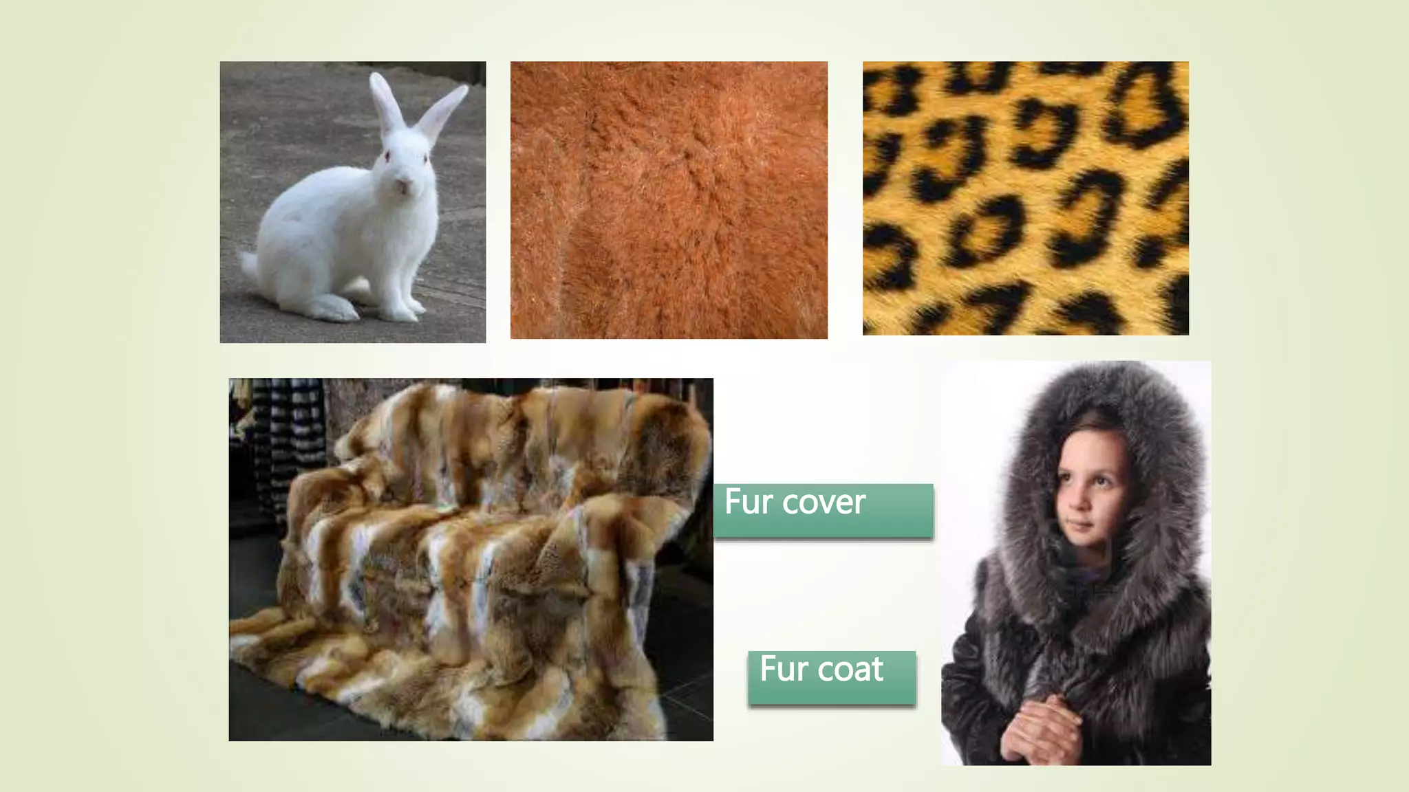 Fur coat
Fur cover
 