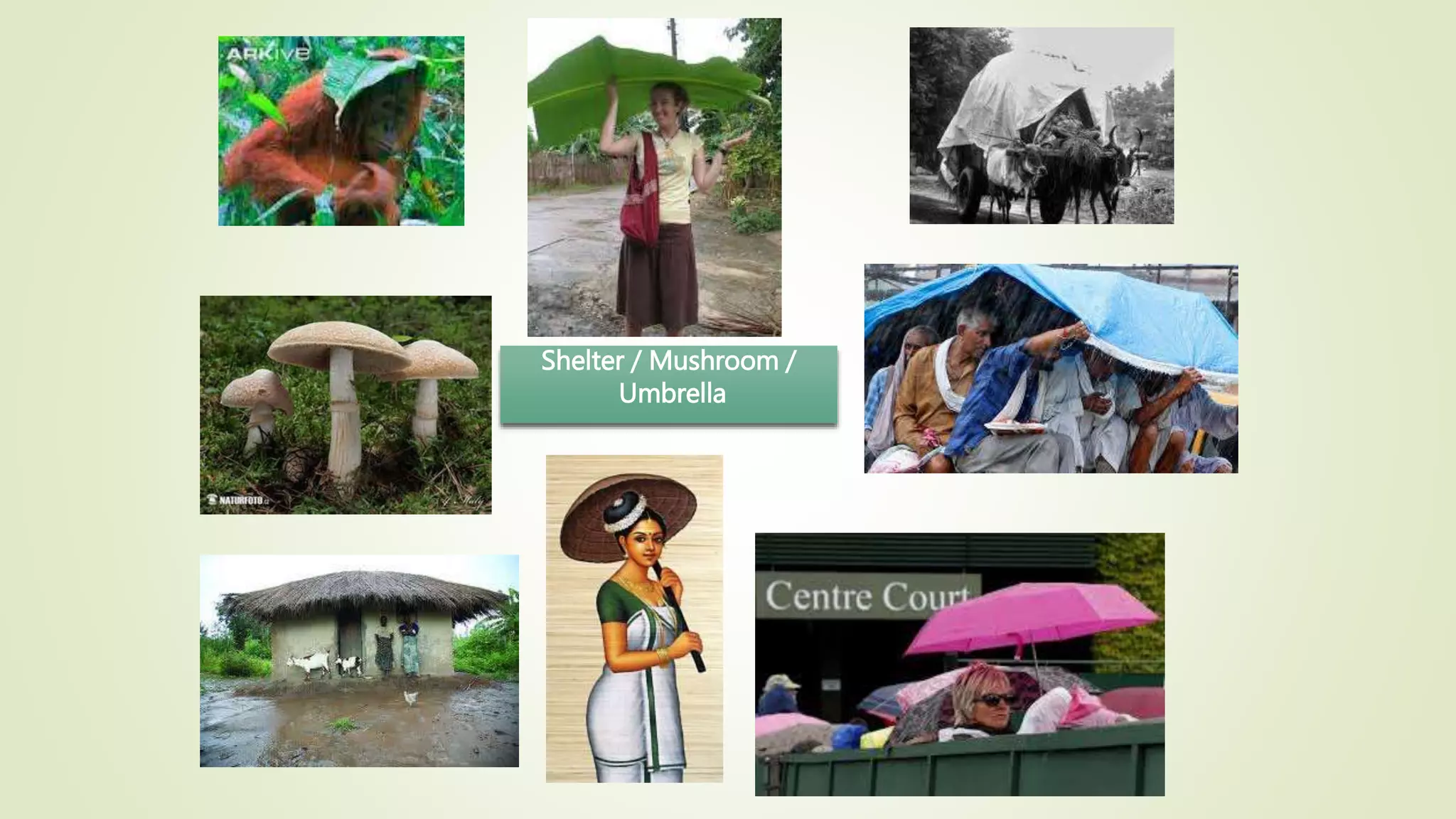 Shelter / Mushroom /
Umbrella
 