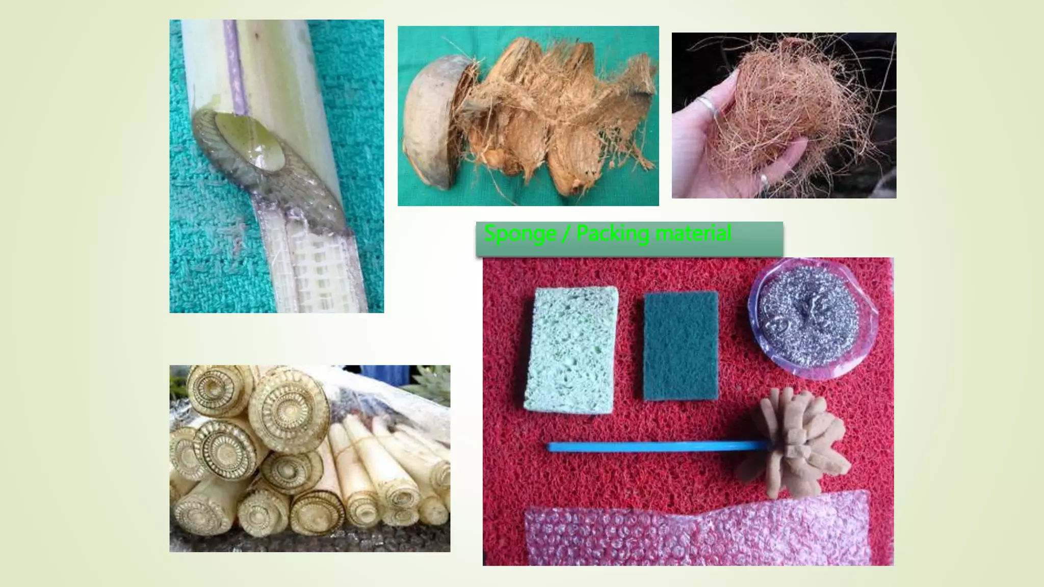 Sponge / Packing material
 