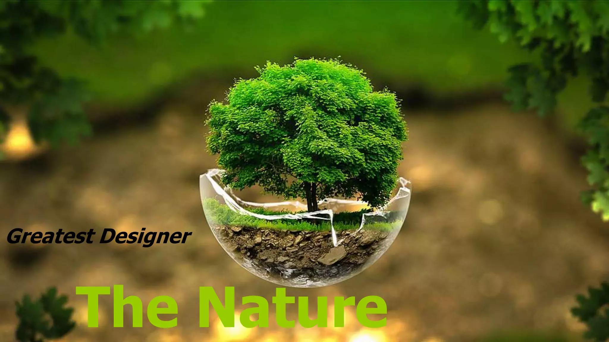 Greatest Designer
The Nature
 