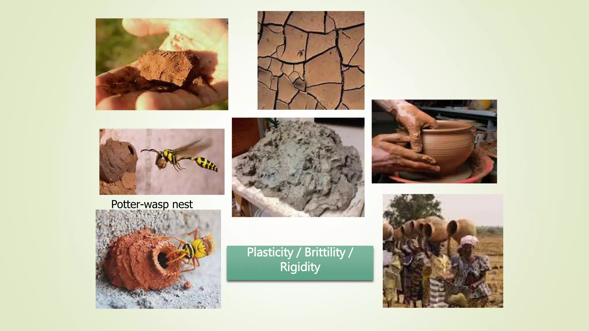 Plasticity / Brittility /
Rigidity
Potter-wasp nest
 