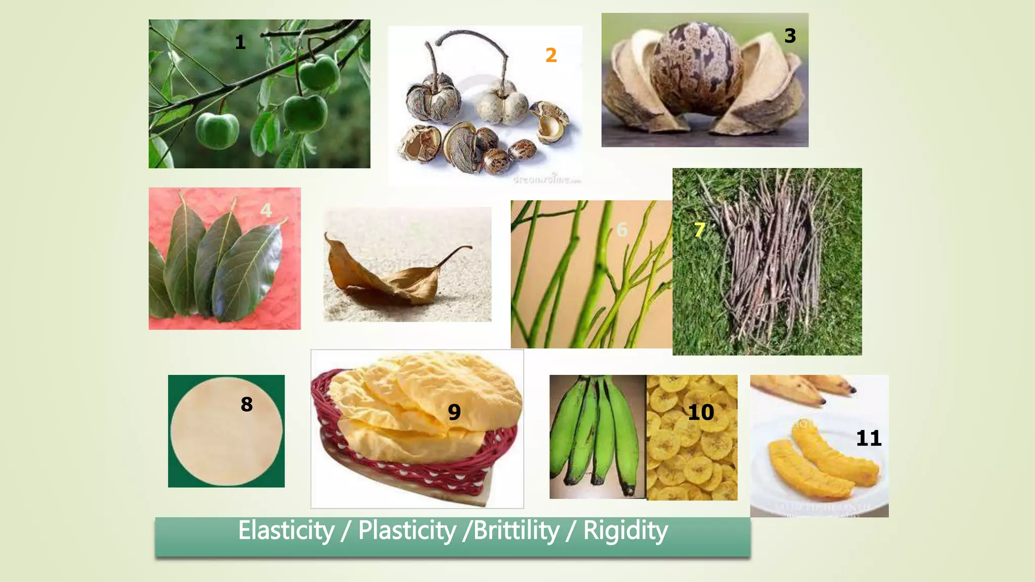 Elasticity / Plasticity /Brittility / Rigidity
1
2
3
6 7
4
5
8 9
11
10
 
