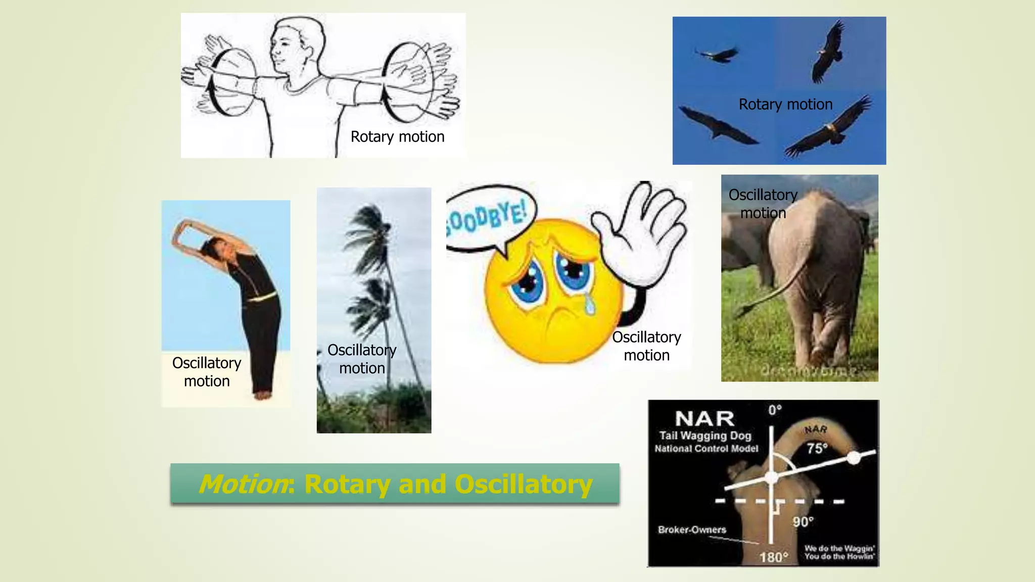 Rotary motion
Rotary motion
Oscillatory
motion
Oscillatory
motion
Oscillatory
motion
Oscillatory
motion
Motion: Rotary and Oscillatory
 