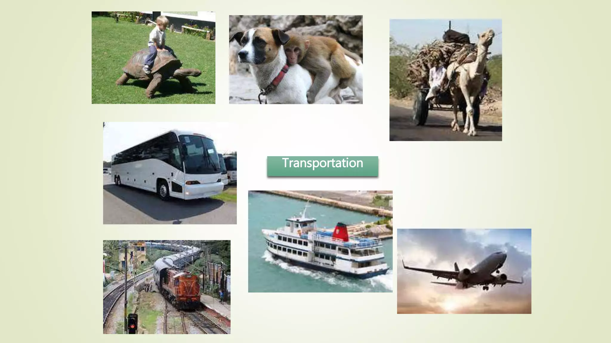 Transportation
 