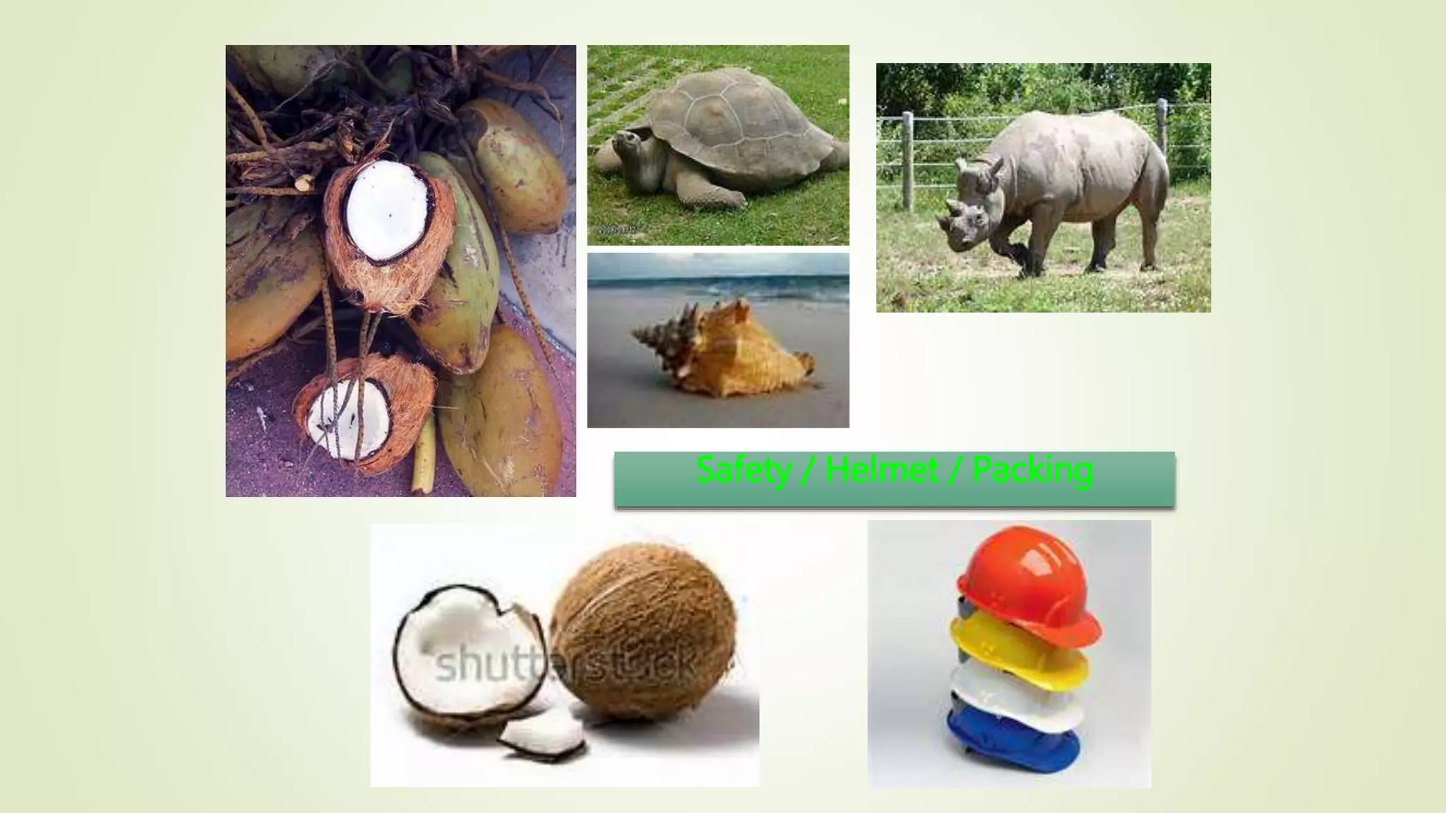 Safety / Helmet / Packing
 