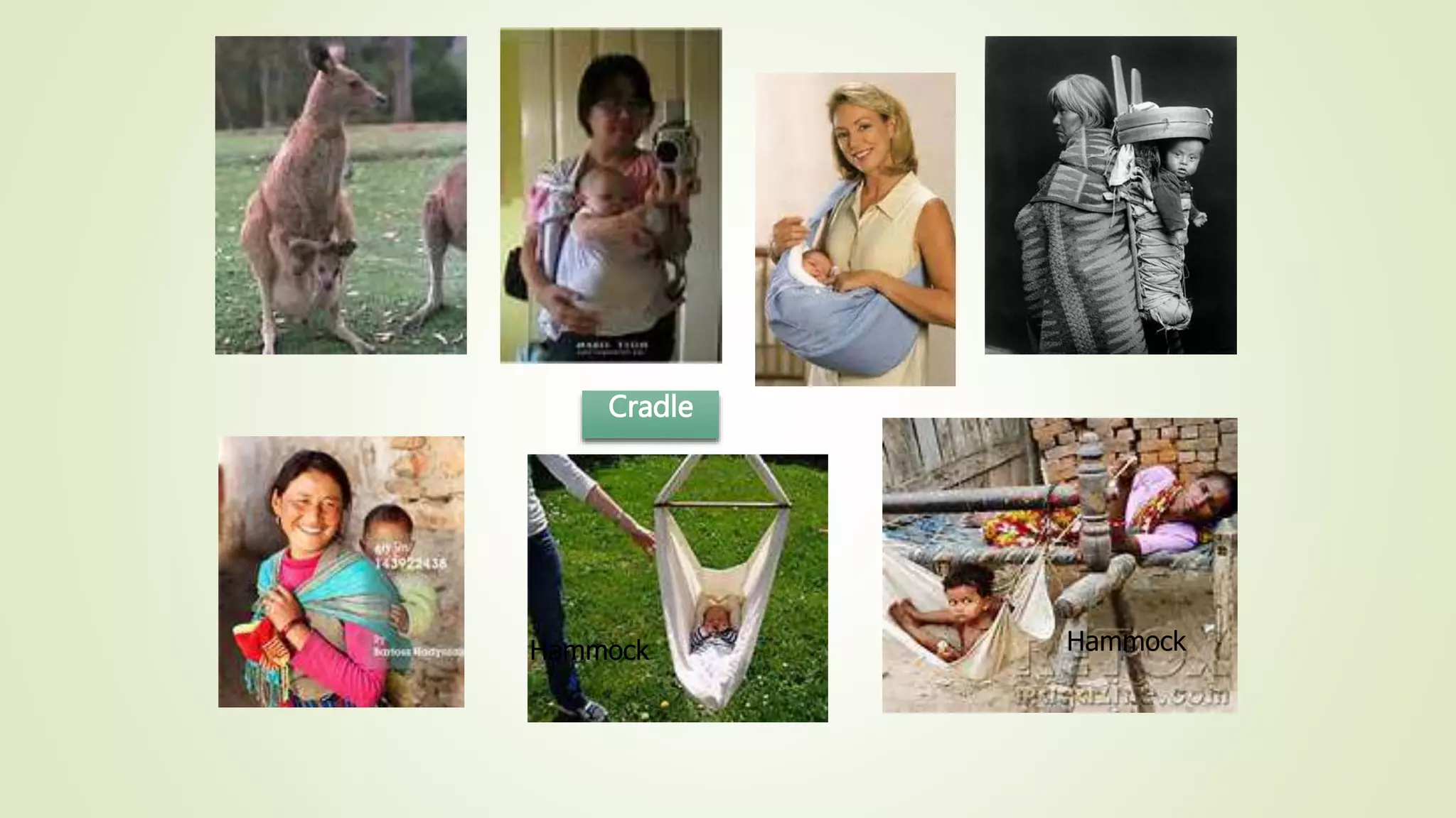 Cradle
Hammock Hammock
 