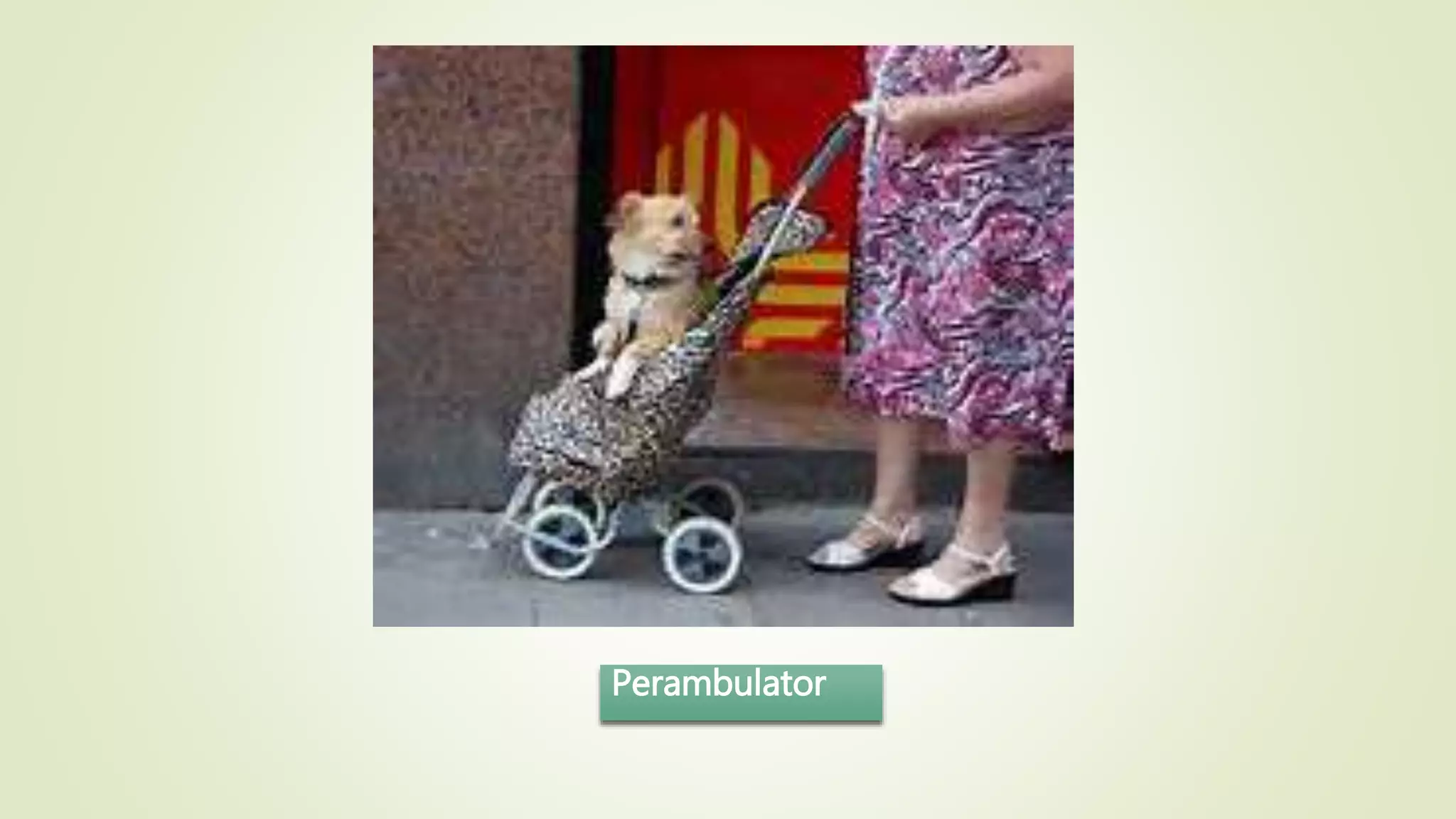 Perambulator
 