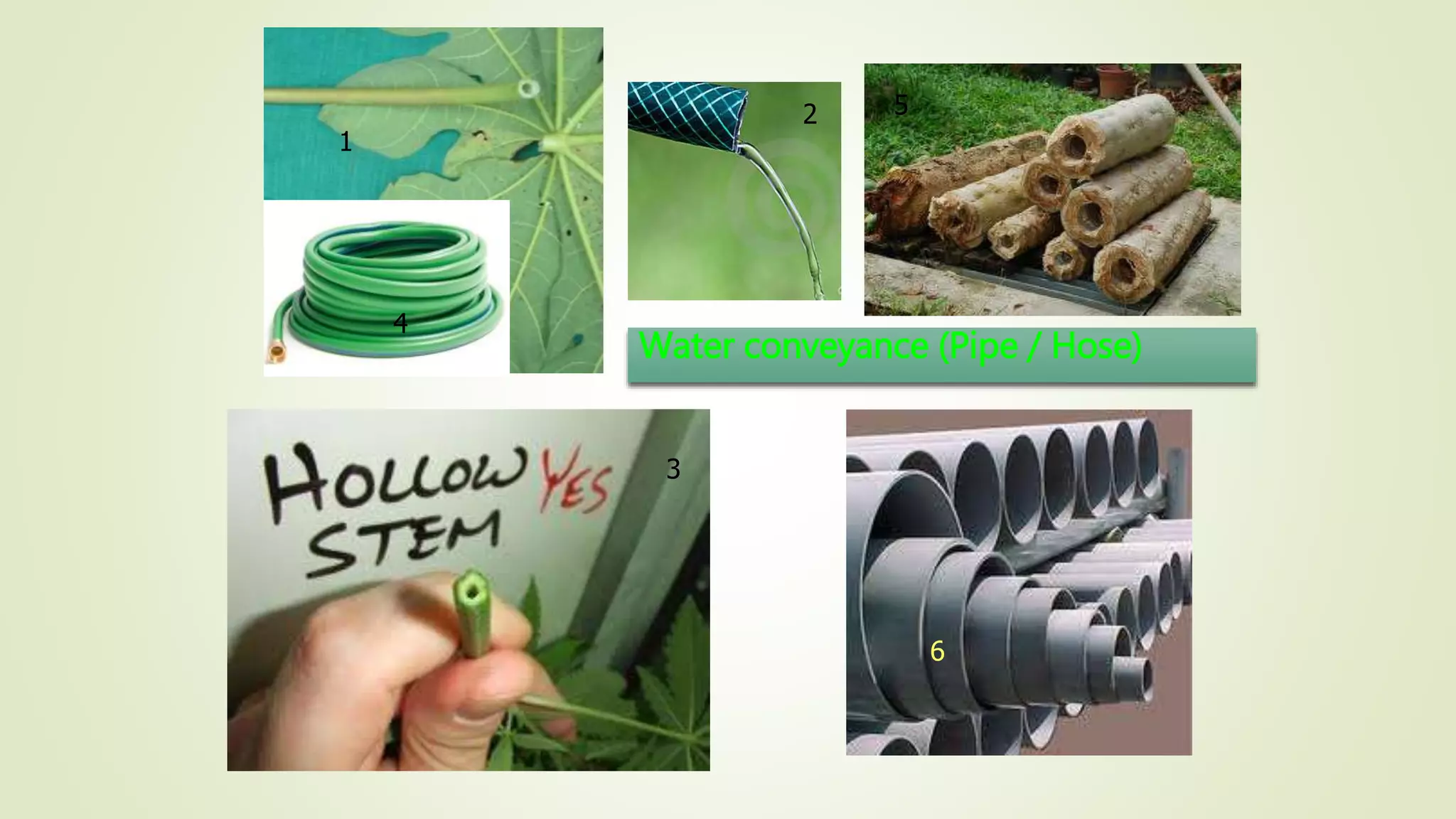 Water conveyance (Pipe / Hose)
1
3
2
4
5
6
 