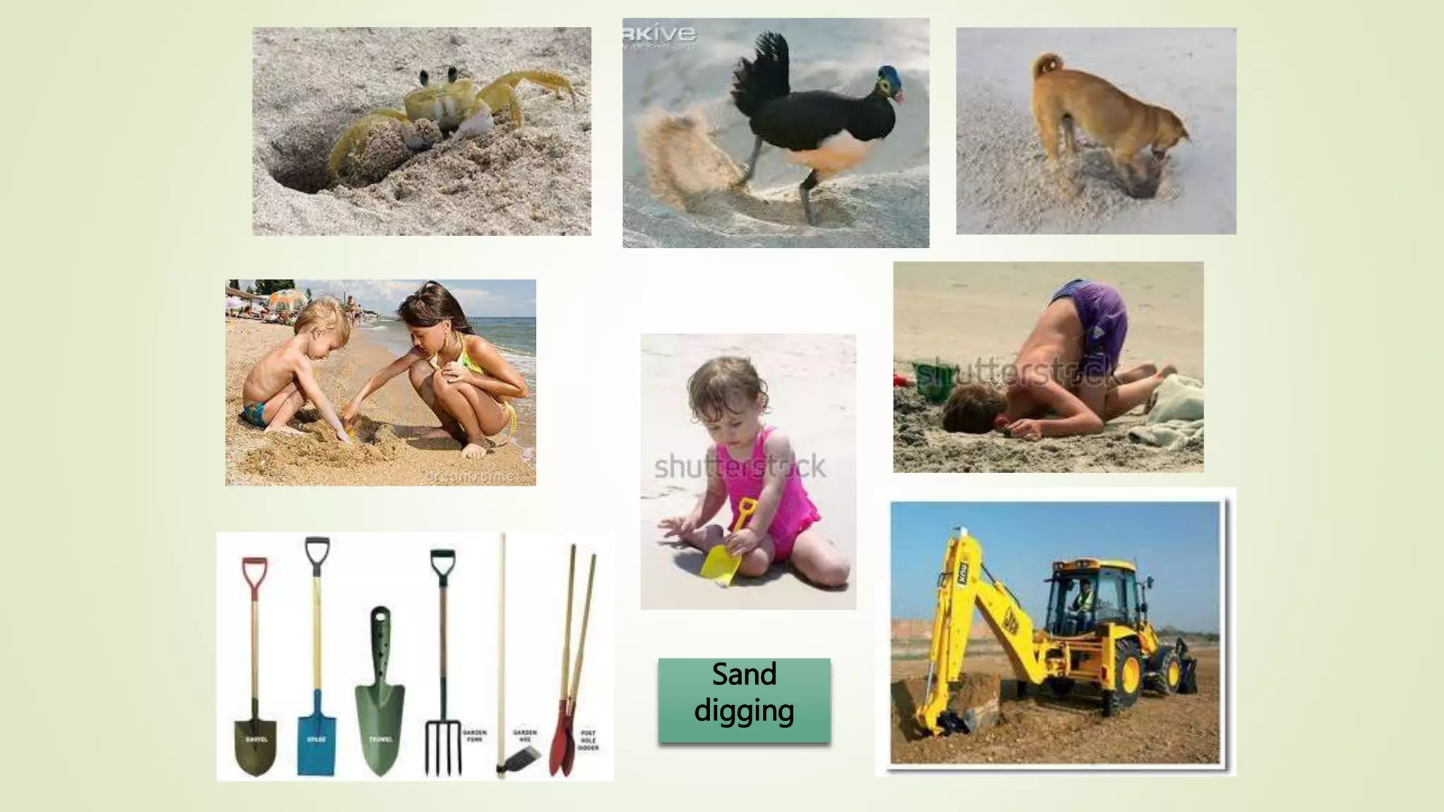 Sand
digging
 