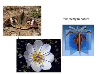 Symmetry In nature
 