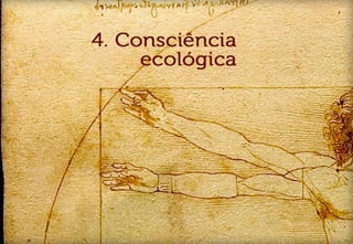 Designer ceramico como trendsetter 2011