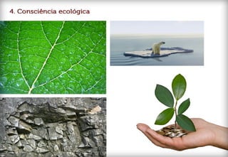 Designer ceramico como trendsetter 2011