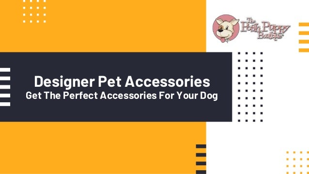 Designer Pet Accessories
Get The Perfect Accessories For Your Dog
 