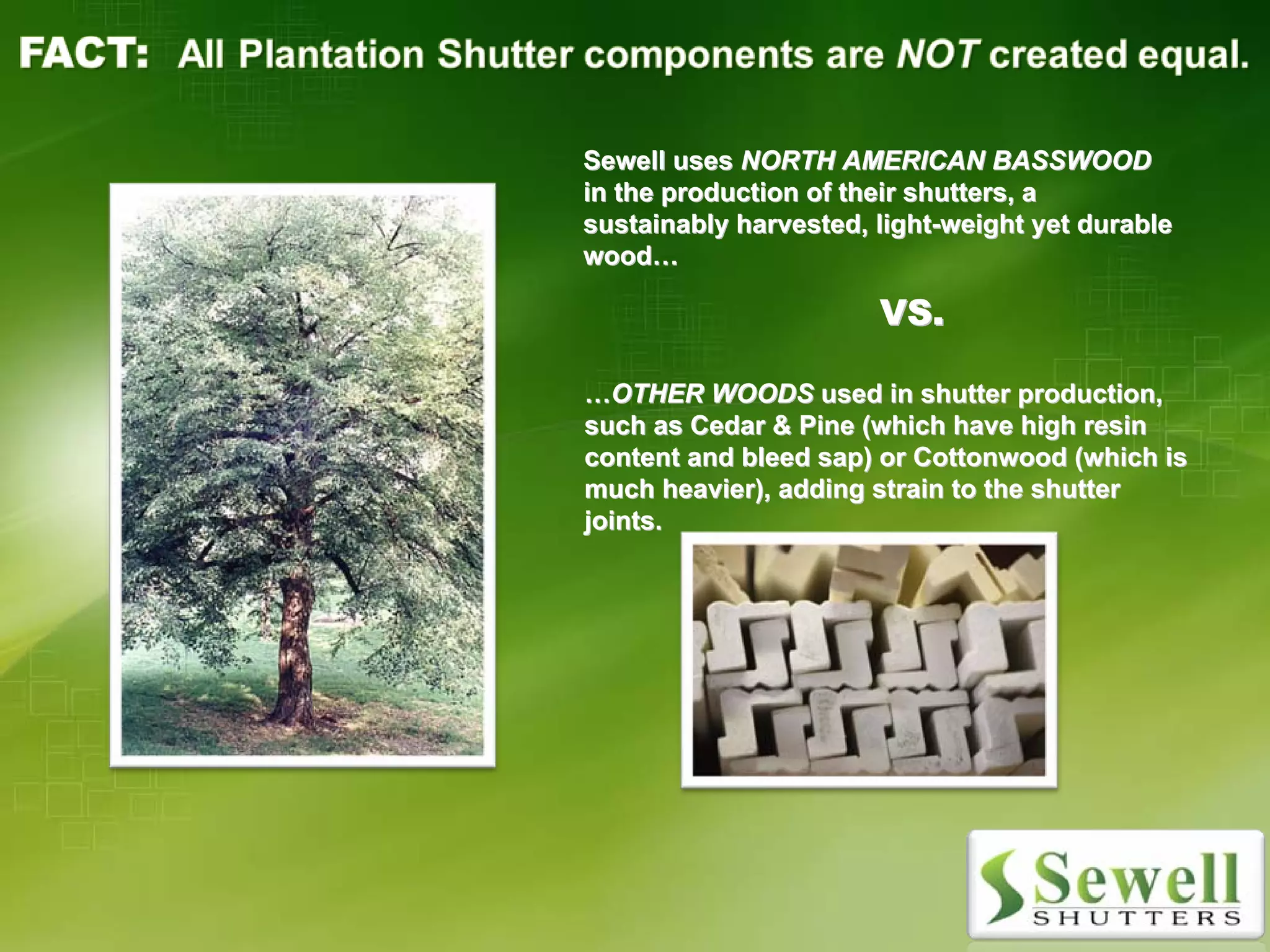 Designer Program (2)