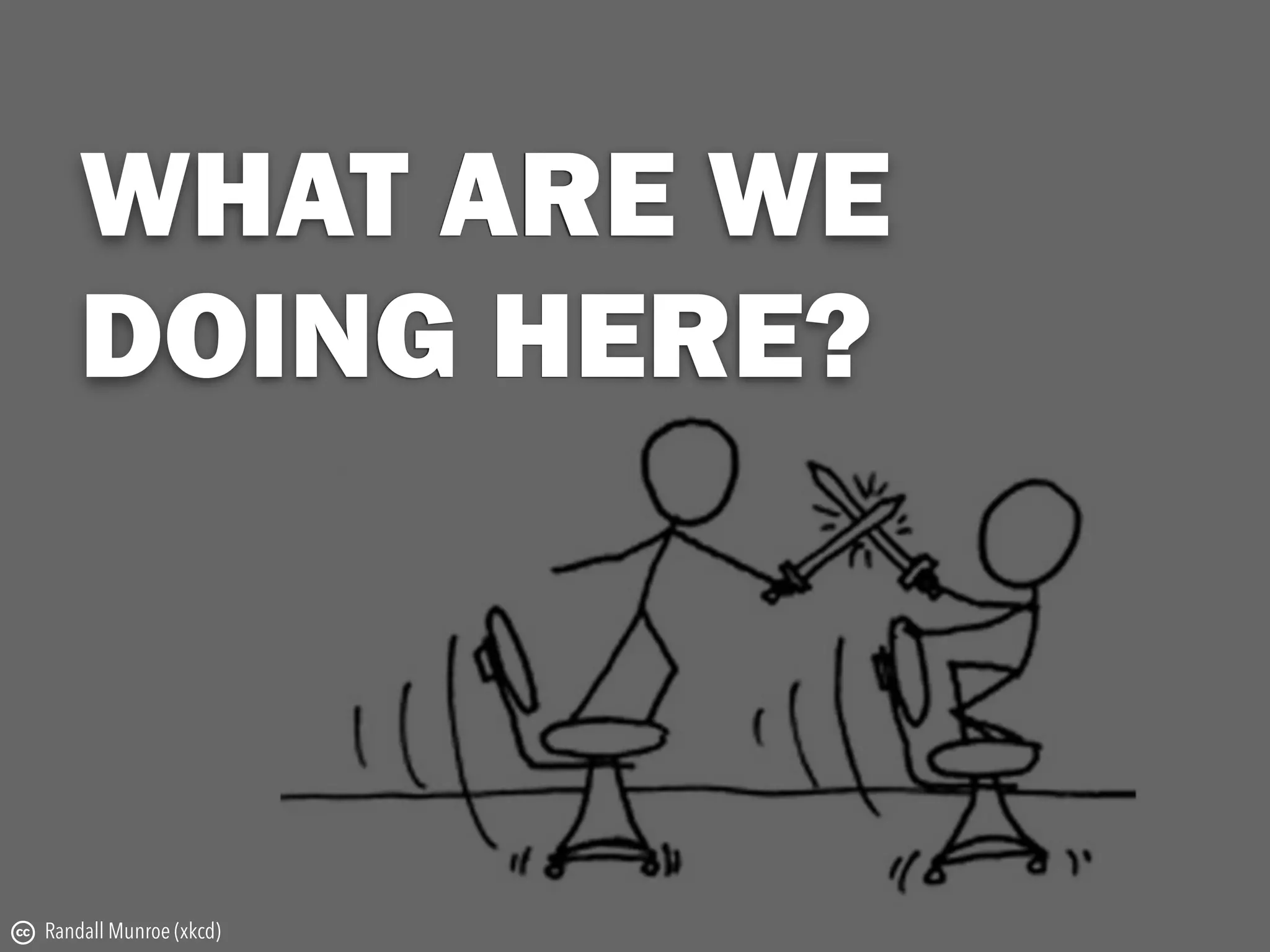 WHAT ARE WE  
DOING HERE?
c Randall Munroe (xkcd)
 