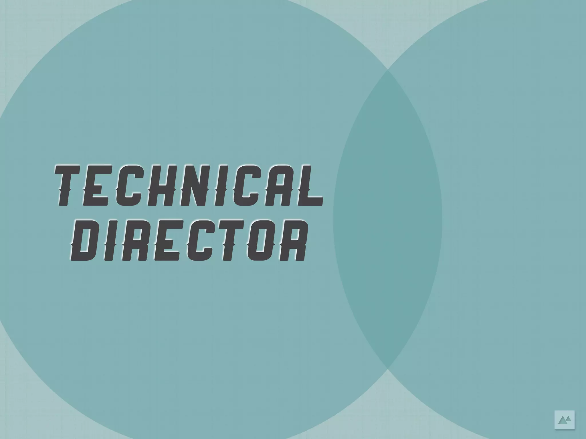 TECHNICAL
 DIRECTOR
 