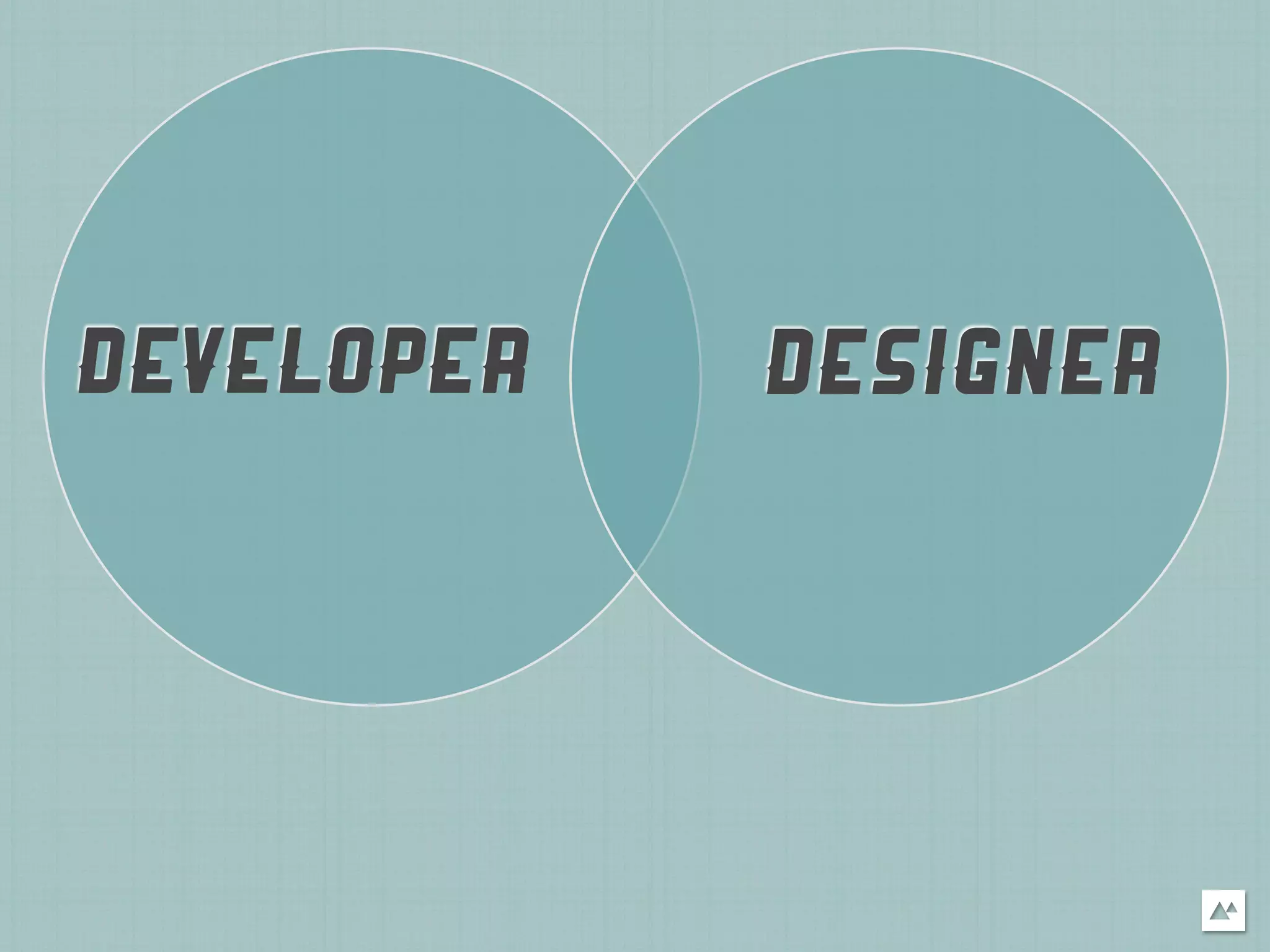 DEVELOPER   DESIGNER
 