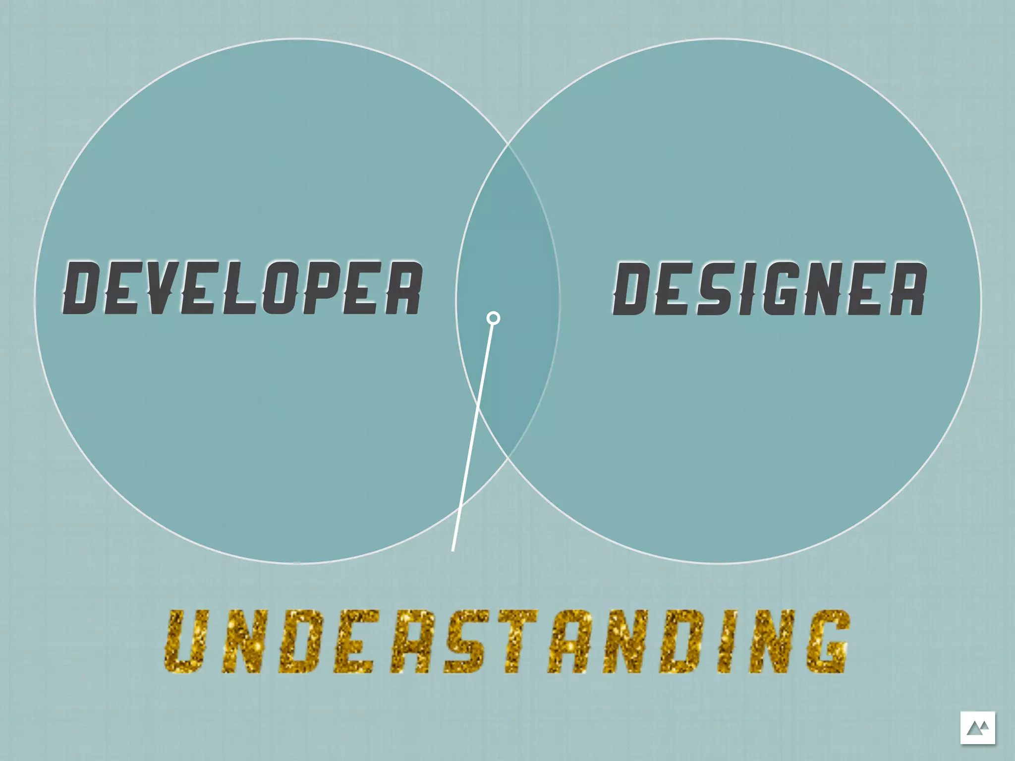 DEVELOPER   DESIGNER
 
