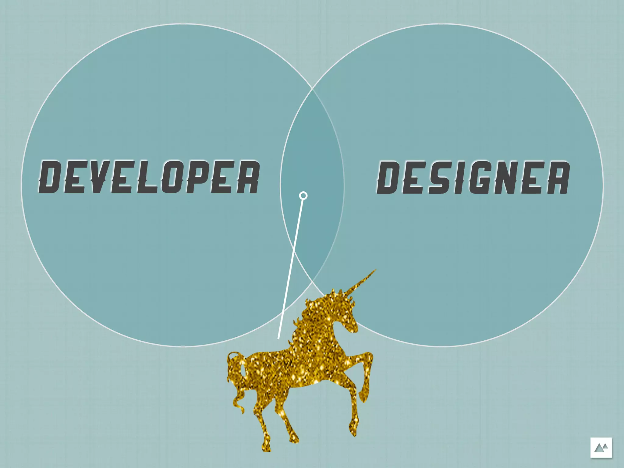 DEVELOPER   DESIGNER
 