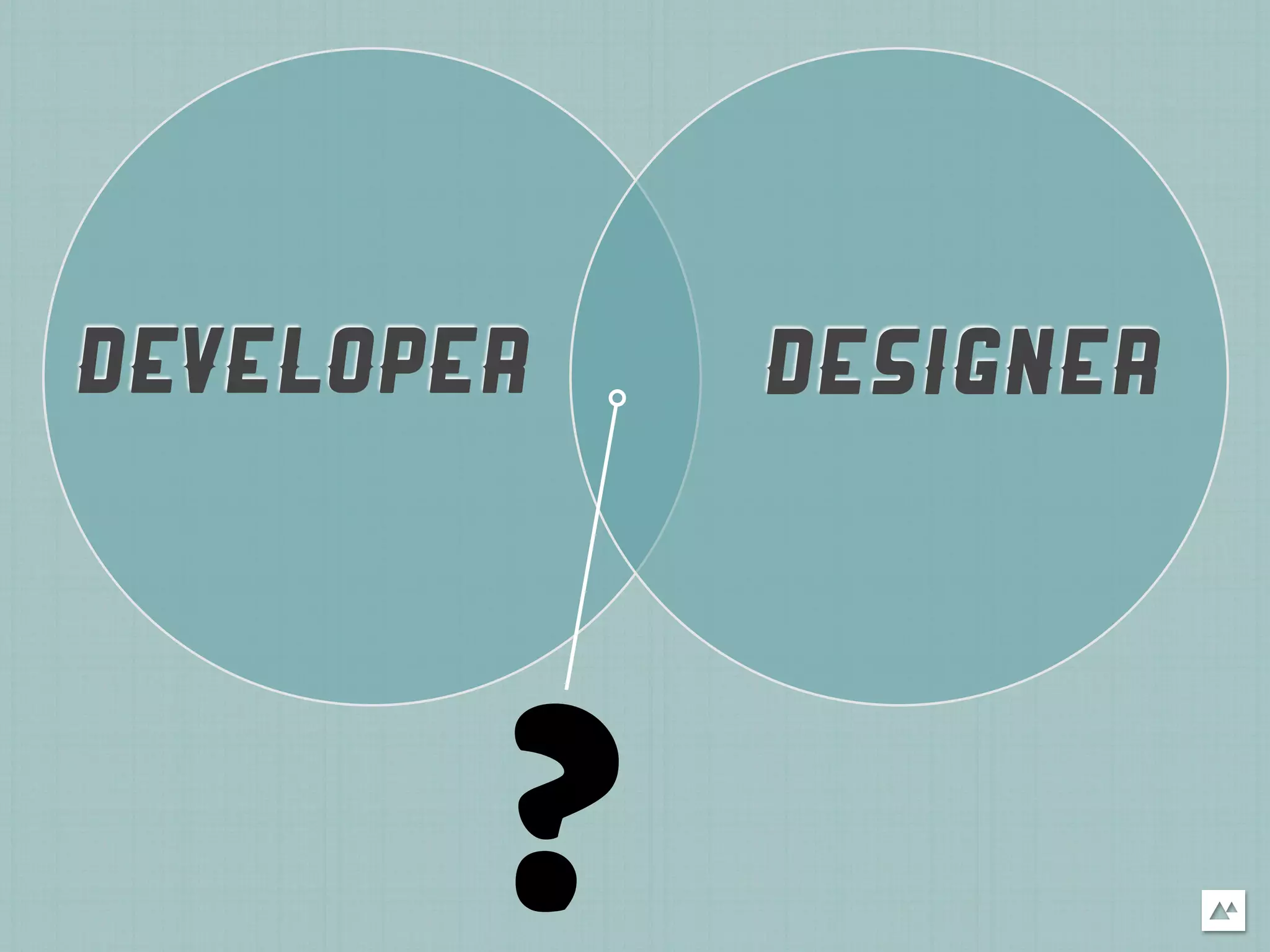 DEVELOPER   DESIGNER




        ?
 