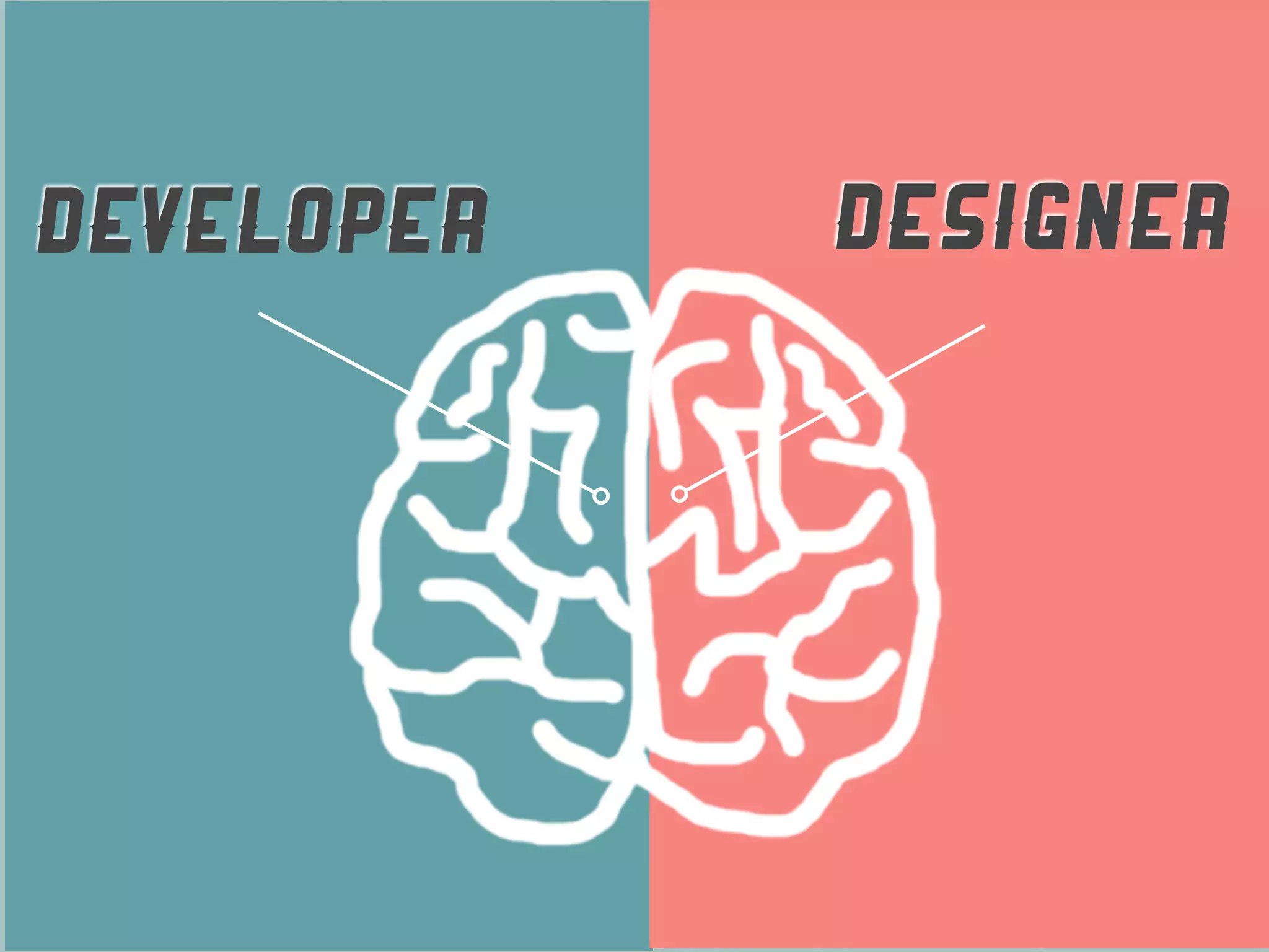 DEVELOPER   DESIGNER
 