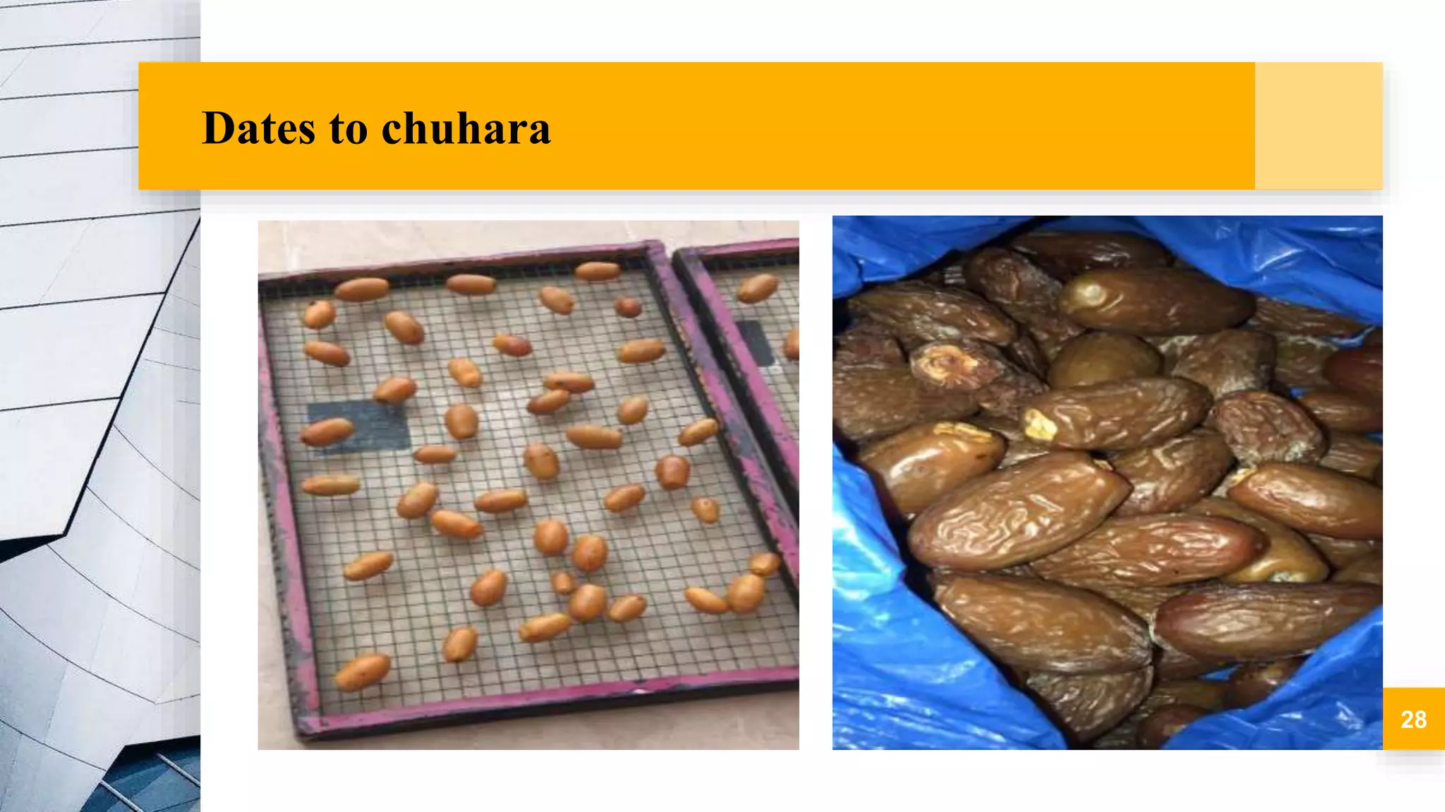 Dates to chuhara
28
 