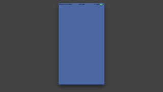 Everlane iOS App Design Critique