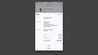 Everlane iOS App Design Critique