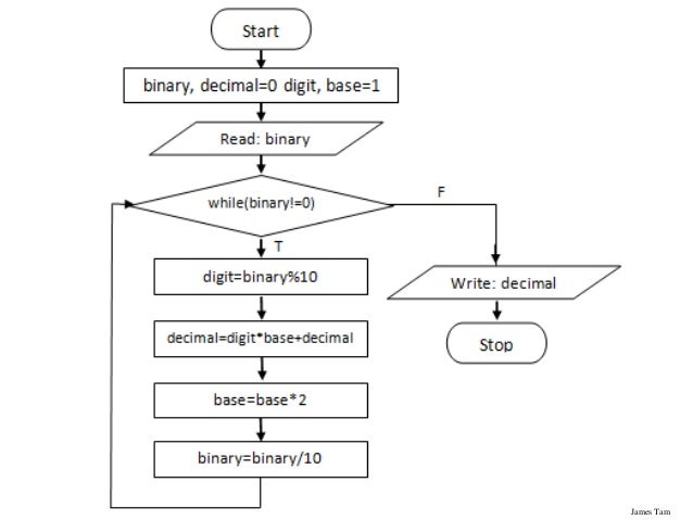 Beginner Binary Conversion Program Issue Stack Overflow