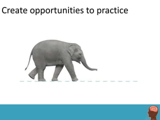 Create opportunities to practice
 