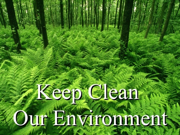 What Are Some Ways to Keep the Environment Clean?
