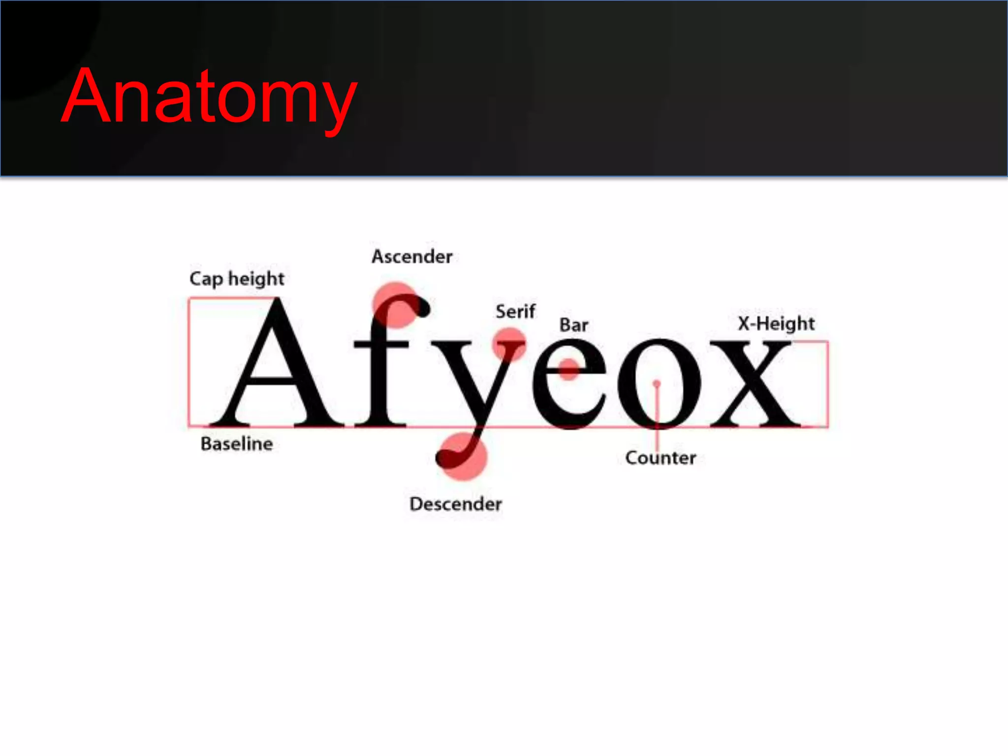 Anatomy
 