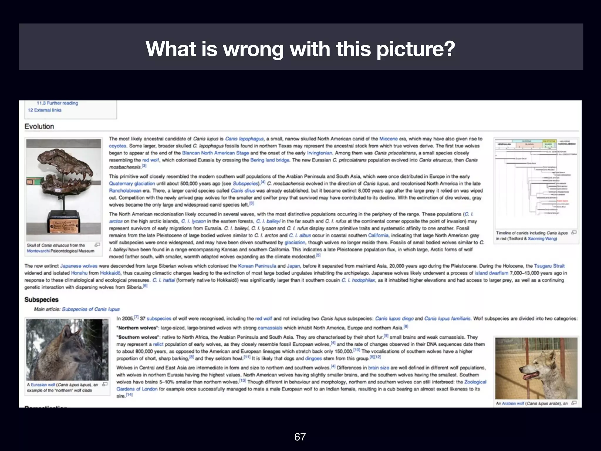 What is wrong with this picture?




               67
 