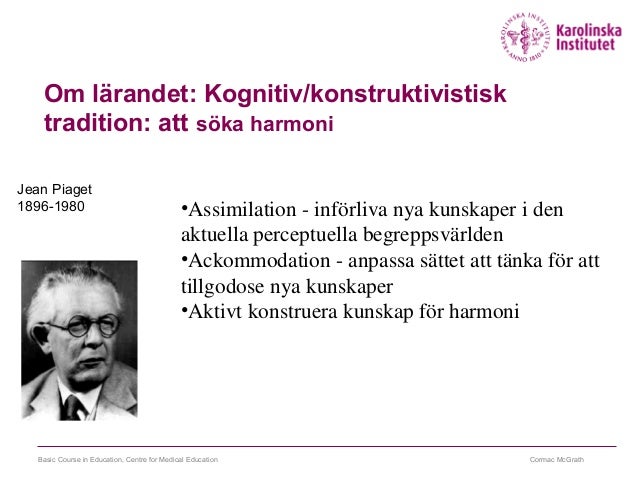 Vad är Assimilation Och Ackommodation