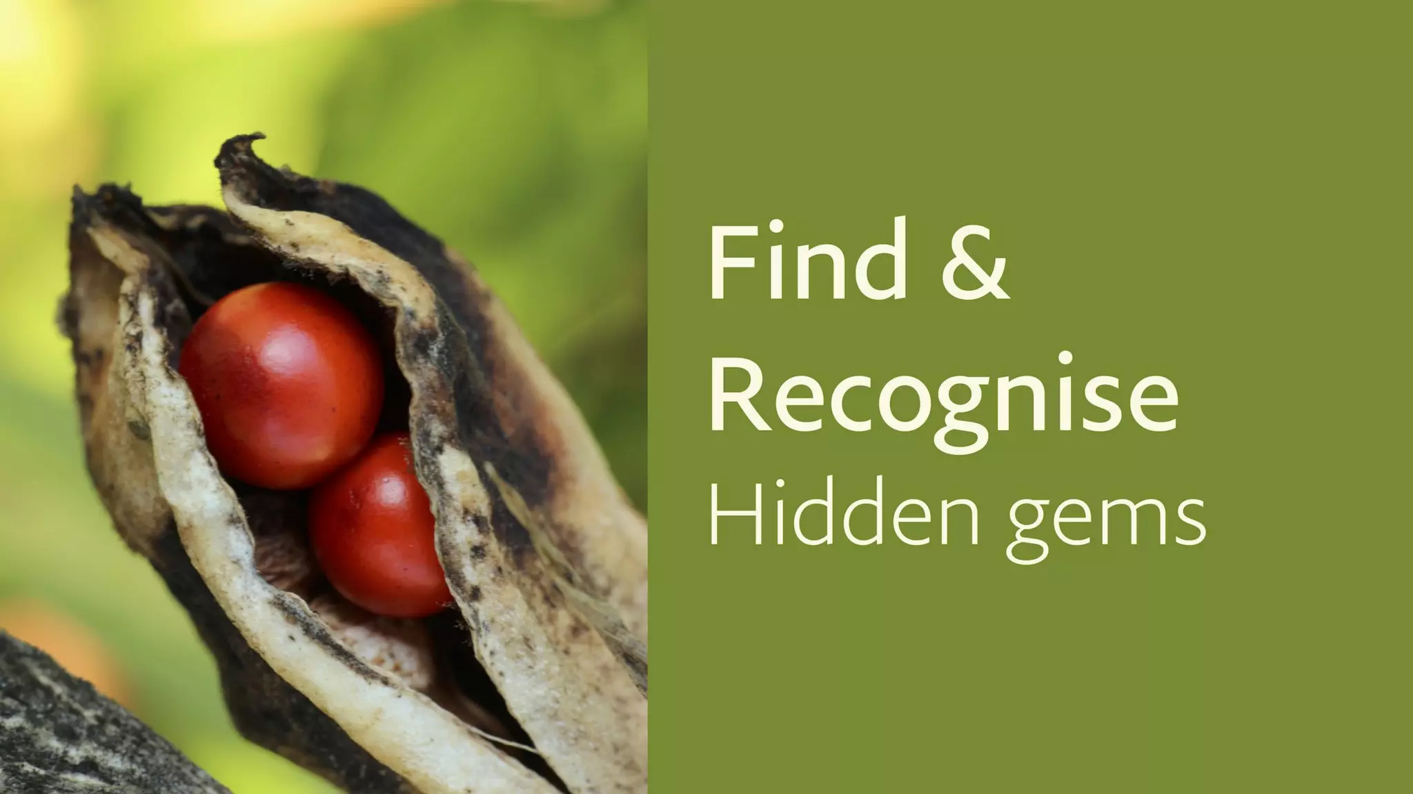 DESIGN FOR THE
BOTTOM LINE
 