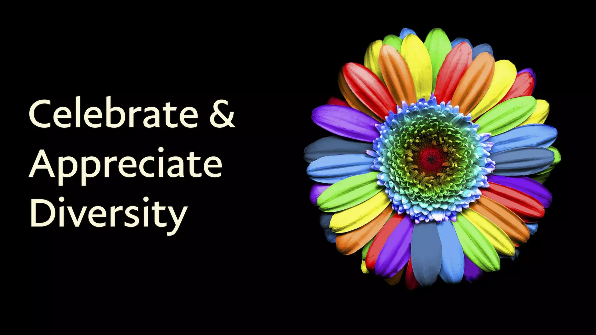 RESEARCH
BRILLIANT
IDEAS
BLOCKED?
 