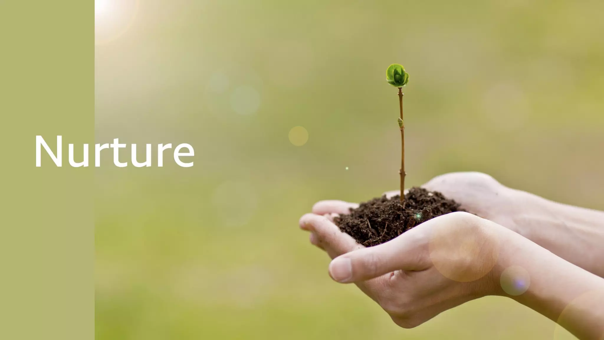 THINKING GROWTH
What is the highest-impact area we can
focus on now, given limited resources?
 