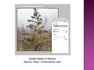 Golden Section Indesign Atrise Golden Section _ Golden Section Software – MIIKME