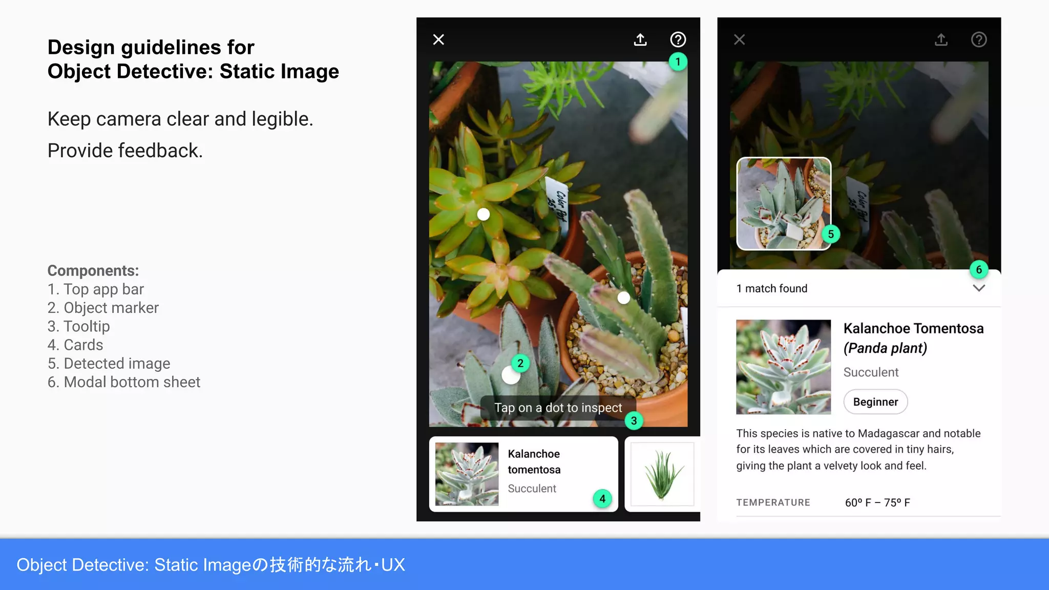 Object Detective: Static Imageの技術的な流れ・UX
Components:
1. Top app bar
2. Object marker
3. Tooltip
4. Cards
5. Detected image
6. Modal bottom sheet
Design guidelines for
Object Detective: Static Image
Keep camera clear and legible.
Provide feedback.
 