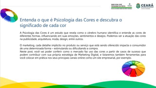 Entenda o que é Psicologia das Cores e descubra o
significado de cada cor
A Psicologia das Cores é um estudo que revela como o cérebro humano identifica e entende as cores de
diferentes formas, influenciando em suas emoções, sentimentos e desejos. Podemos ver a atuação das cores
na publicidade, arquitetura, moda, design, entre outros.
O marketing, cada detalhe implícito no produto ou serviço que está sendo oferecido impacta o consumidor
de uma determinada forma – estimulando ou dificultando a compra.
Neste post, você vai poder conferir como o mercado faz uso das cores a partir de casos de sucesso que
podem contribuir com sua própria estratégia de Marketing Digital, e listaremos também ferramentas para
você colocar em prática nos seus principais canais online como um site empresarial, por exemplo.
 