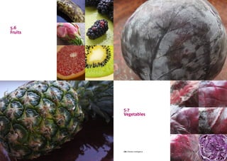 CBI | Market Intelligence CBI | Market IntelligenceDesign Guide | 43 Design Guide | 44
5.6
Fruits
5.7
Vegetables
 