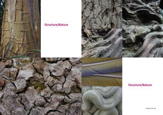 CBI | Market Intelligence CBI | Market IntelligenceDesign Guide | 51 Design Guide | 52
Structure/Nature
Structure/Nature
 