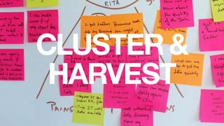 CLUSTER &
HARVEST
 
