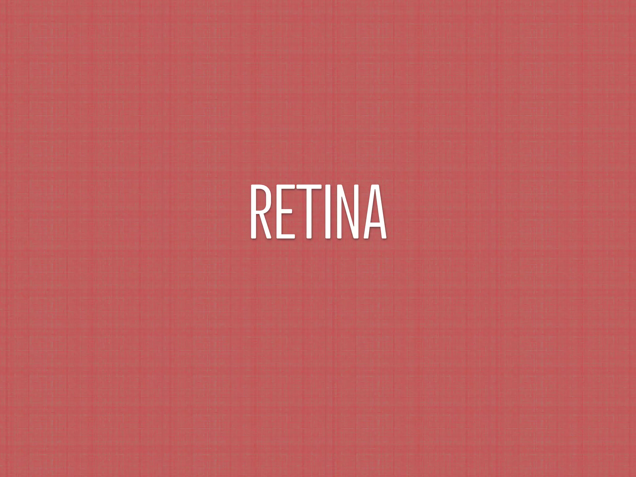 RETINA
 