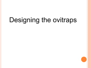 Designing the ovitraps
 