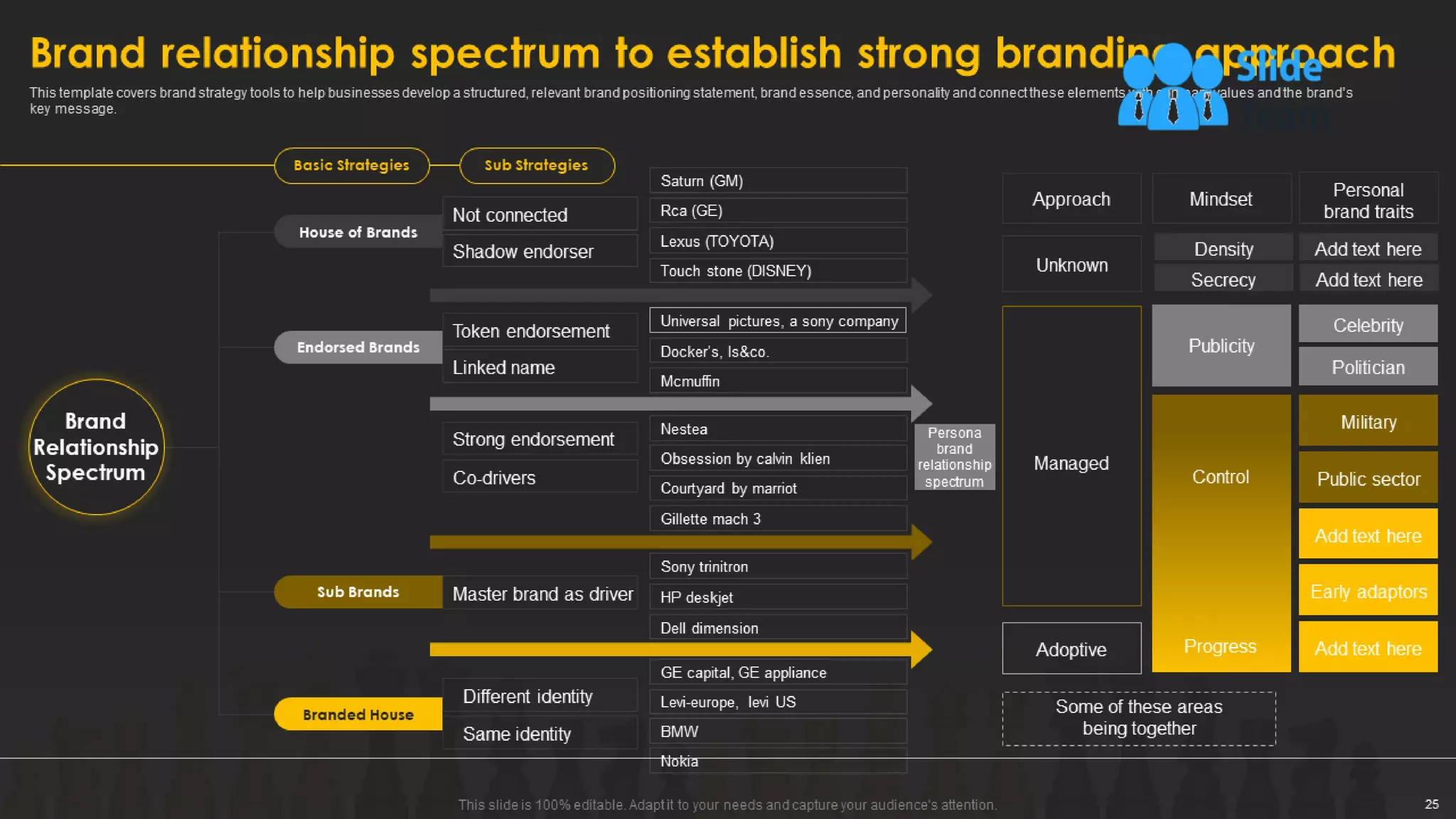 Designing And Implementing Brand Leadership Strategy Powerpoint Presentation Slides