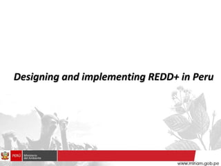 Designing and implementing REDD+ in Peru 