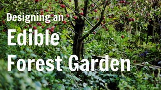 けんたま/KENTAMA
Designing an
Edible
Forest Garden
 